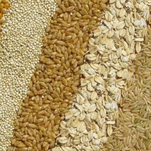 Whole Grains