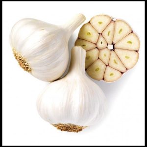 garlic