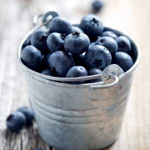 berries