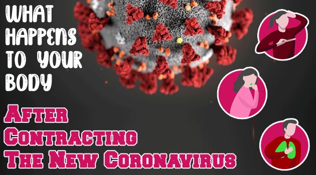 What Happens to Your Body After Contracting The New Coronavirus