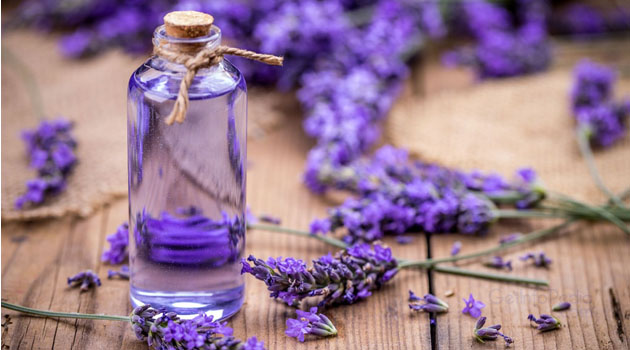 Lavender Oil