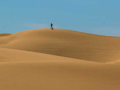 Desert Survival Team-Building Exercise