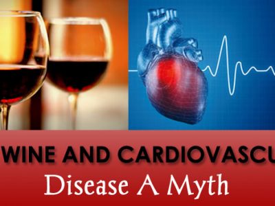 red wine and cardiovascular disease