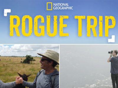 rogue trip