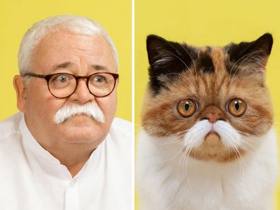 #1 Do You Look Like Your Cat