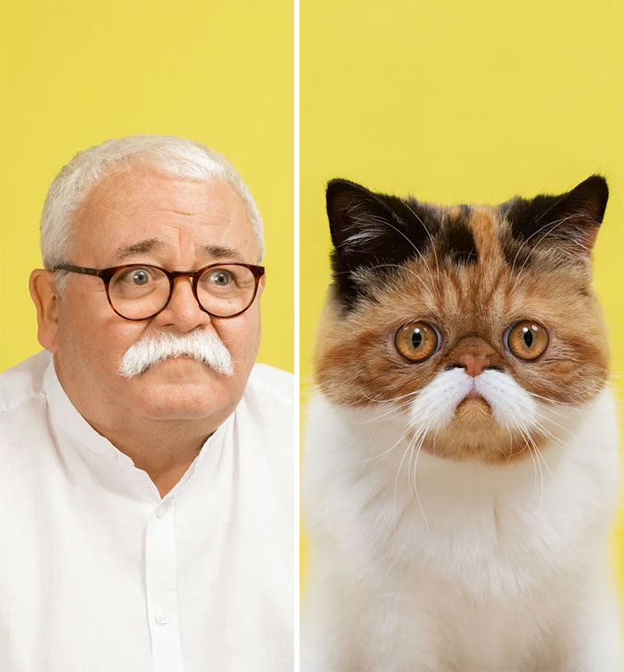 17 Cats And Their Human Doppelgangers By Photographer Gerrard Gethings #1 Do You Look Like Your Cat