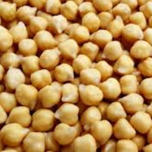 Chickpea