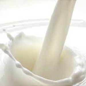 Milk