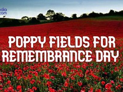 Poppy Fields for Remembrance Day