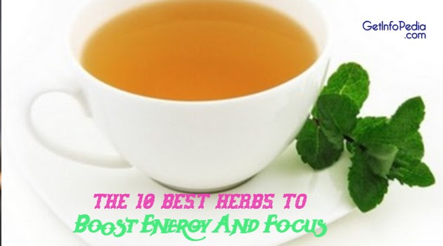 The 10 Best Herbs To Boost Energy And Focus