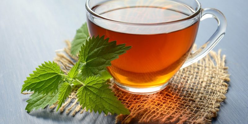 Nettle Tea