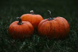 pumpkin