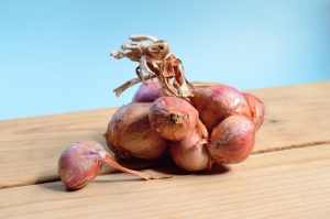 onion
