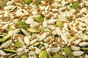 Nuts and Seeds - GetInfopedia 