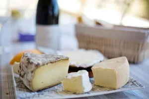 Cheese - GetInfopedia