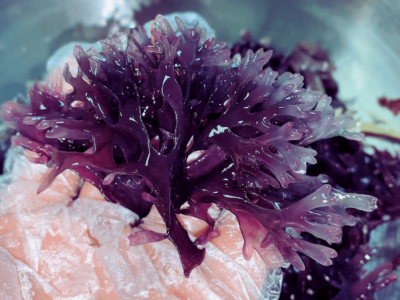 Benefits of Purple Sea Moss for Skin | Purple SEa Moss