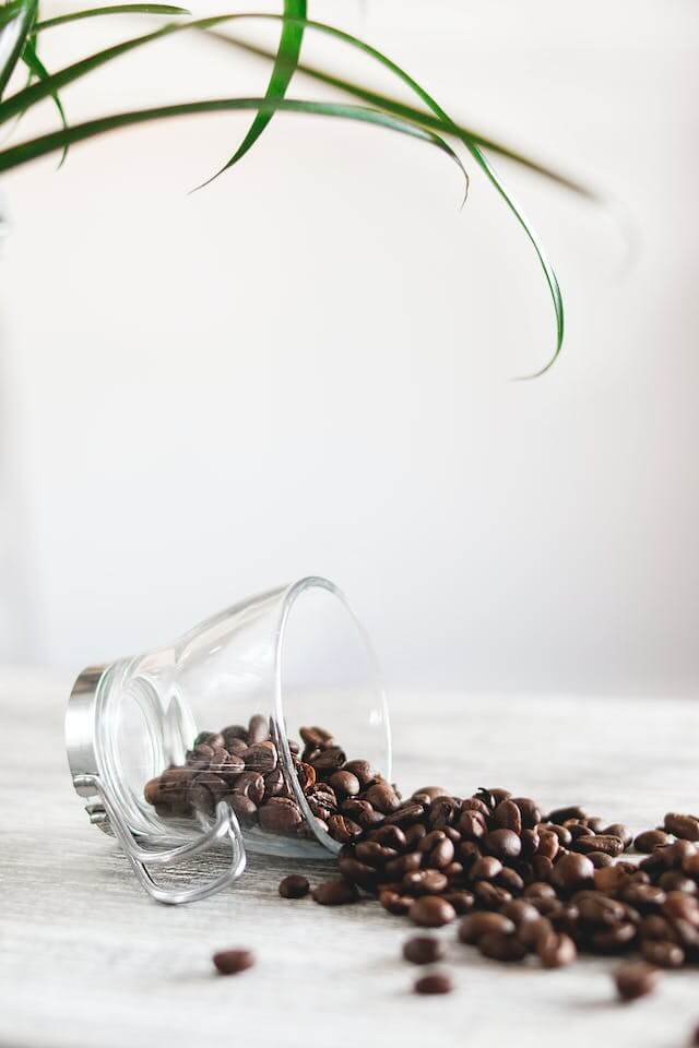 Coffee Beans | Coffee Face Mask