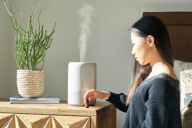 Humidifier in Skincare for Winter Season