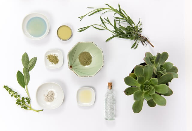 Natural Ingredients in Skincare - GetInfopedia.com