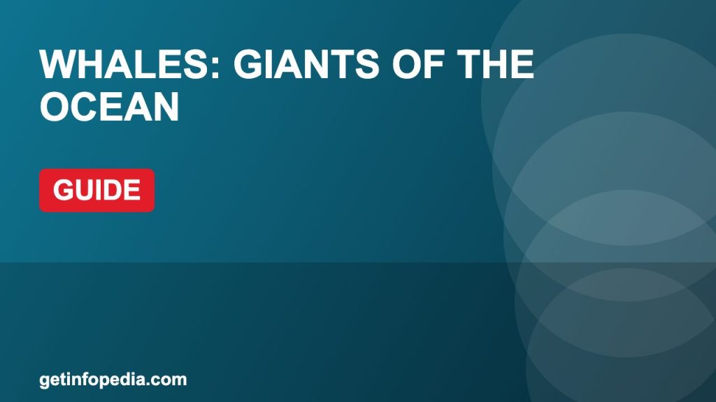 Whales: Giants of the Ocean